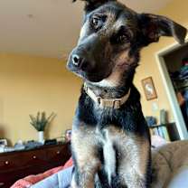 Thumbnail photo of Heidy #3