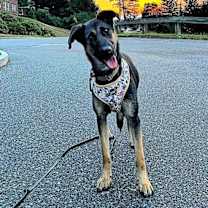 Thumbnail photo of Heidy #4