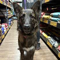 Thumbnail photo of Lex #4