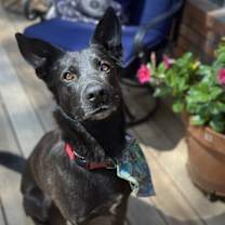 Thumbnail photo of Aro #4