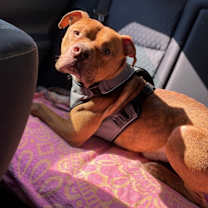 Thumbnail photo of Stylz #4