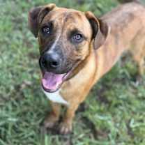 Thumbnail photo of Jethro #1