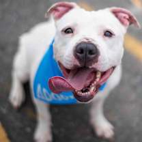 Thumbnail photo of Mila Grace #3