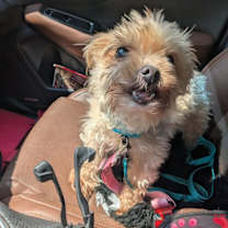 Thumbnail photo of Margo #2