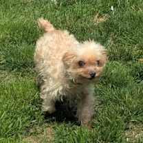 Thumbnail photo of Margo #3