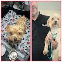 Thumbnail photo of Margo #1