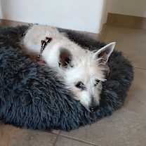 Thumbnail photo of Sonia #3