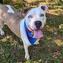 Thumbnail photo of Buddy #3