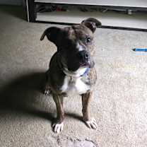 Thumbnail photo of Kaiser #1