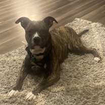 Thumbnail photo of Kaiser #2