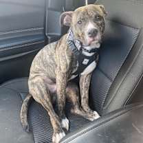 Thumbnail photo of Kaiser #4