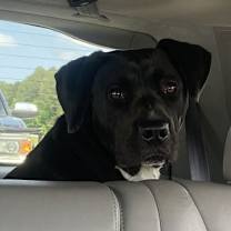 Thumbnail photo of Burger Lizman #4