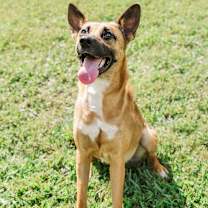 Thumbnail photo of Tater #2