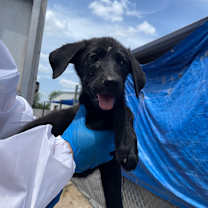 Thumbnail photo of Andrew #2