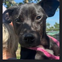 Thumbnail photo of Raisin #1