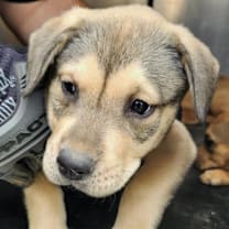 Thumbnail photo of Art #2