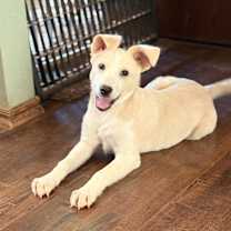 Thumbnail photo of Keeva #2