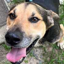 Thumbnail photo of Fitz #3