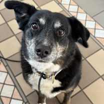 Thumbnail photo of Korra #2