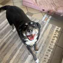 Thumbnail photo of Korra #3