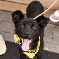 Thumbnail photo of Valor #2