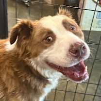 Thumbnail photo of Jax #1