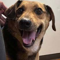 Thumbnail photo of GENESIS  (Jenny) #3