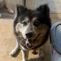 Thumbnail photo of Maxine #1