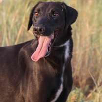 Thumbnail photo of Gerald #2