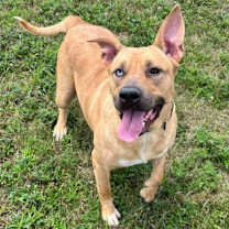 Thumbnail photo of Vivy #1