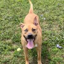 Thumbnail photo of Vivy #3