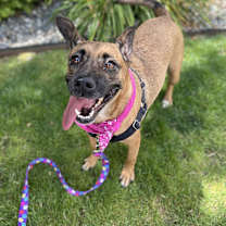 Thumbnail photo of Fiona #3