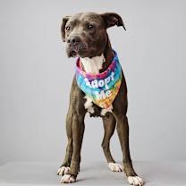 Thumbnail photo of Malia #3