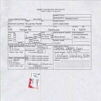 Thumbnail photo of Fluffy #2