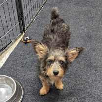 Thumbnail photo of Hugh Hef #1