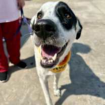 Thumbnail photo of Wishbone #3