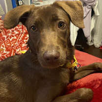 Thumbnail photo of Carley #2