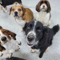 Thumbnail photo of Astra #3