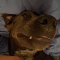 Thumbnail photo of Myst #2