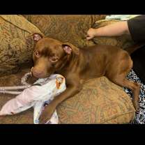 Thumbnail photo of Mocha #2