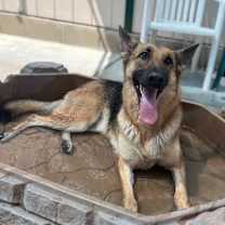 Thumbnail photo of Mena #1