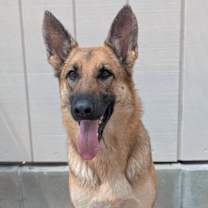 Thumbnail photo of Mena #3