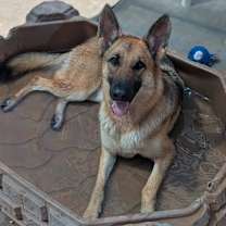 Thumbnail photo of Mena #4