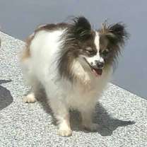 Thumbnail photo of Gigi Bardot #1