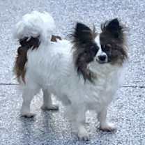 Thumbnail photo of Gigi Bardot #4