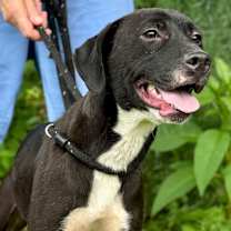 Thumbnail photo of Lisette #2