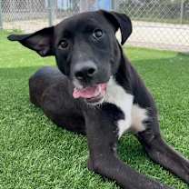 Thumbnail photo of Lisette #3