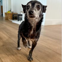 Thumbnail photo of Nano 3957 #1