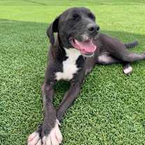 Thumbnail photo of Lisette #4