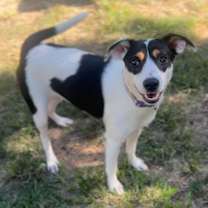 Thumbnail photo of Nana #1